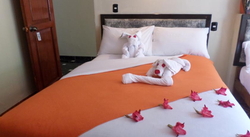 New Day Machu Picchu Hotel Aguas Calientes Exterior photo